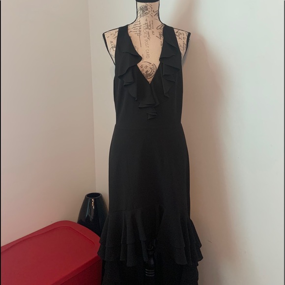 Belle Badgley Mischka High low Ruffle Dress - Picture 8 of 16